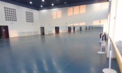 沈陽(yáng)市渾南新區(qū)沈陽(yáng)歌舞團(tuán)舞蹈地板