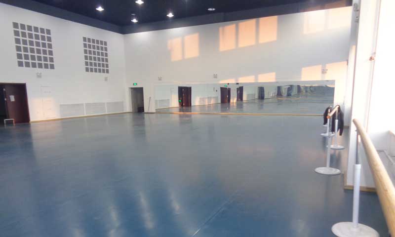 舞蹈地膠企業(yè)要時刻關(guān)注消費(fèi)者購買行為以及市場變化