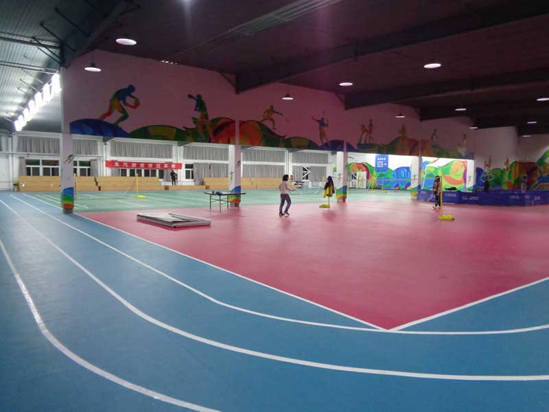 乒乓地板 保障房給乒乓地板帶來(lái)新機(jī)