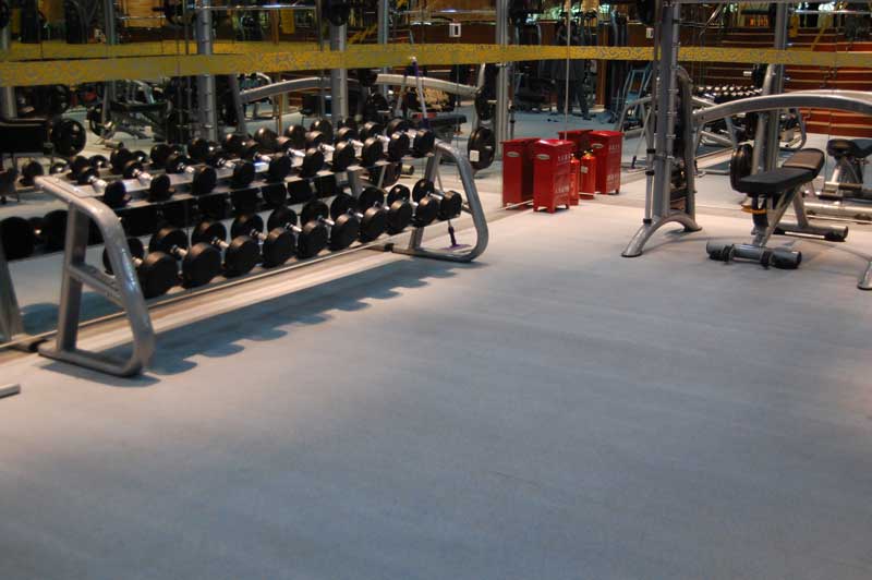 北京裕龍大酒店健身房地板 北京裕龍大酒店健身房地板
